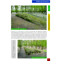 Mythische Stenen Deel 8: Polen en Bornholm